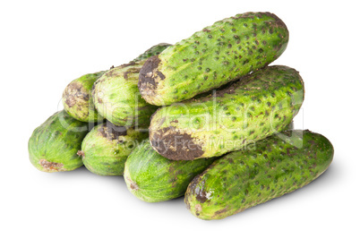 Fresh Dirty Cucumbers