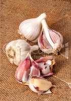 Garlic scattered on sackcloth