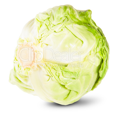 Green Fresh Cabbage Rotated
