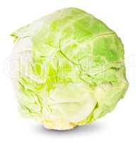 Green Fresh Cabbage