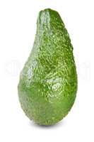 Green Ripe Avocado