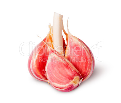 Half head of garlic and garlic clove