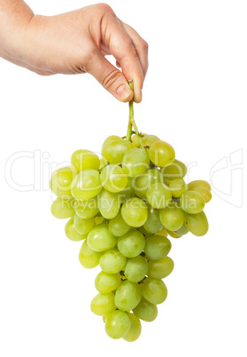 Hand holding a bunch of grapes