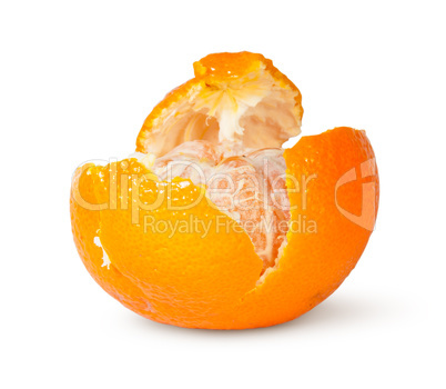 In Front Partially Purified Tangerine