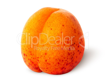 Juicy ripe apricot