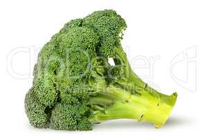 Large inflorescences of fresh broccoli lying