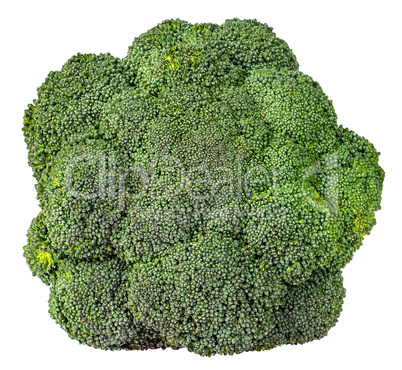 Large inflorescences of fresh broccoli top view