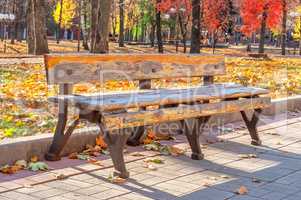 Lonely old bench in autumn city park on a sunny day