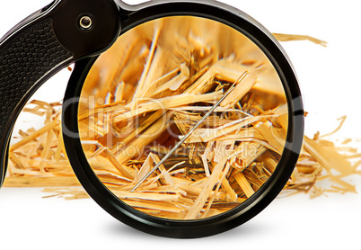 Magnifier enlarges a needle in haystack