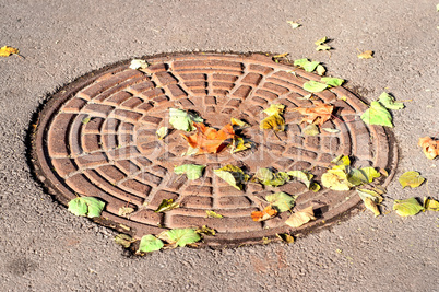 Manhole under a colorful dry autumn leaves