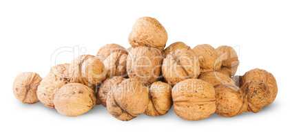 Many Walnut Piled Up