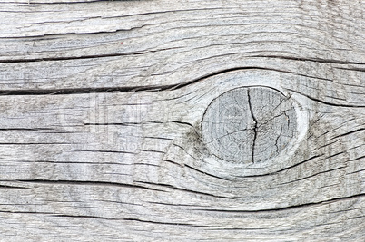 Old cracked wood with knots