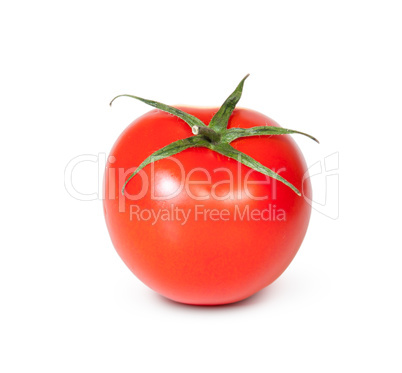 One Fresh Red Tomato