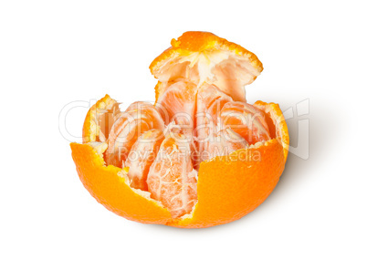 Partially Purified And Broken Tangerine