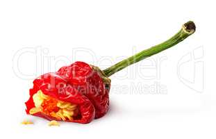 Piece red hot chili pepper with seeds