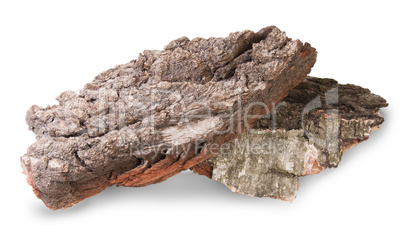 Pieces Of Dry Bark Of Birch And Oak