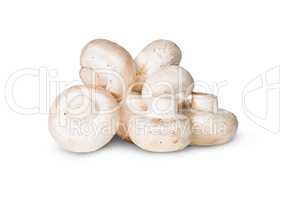 Pile Of Mushrooms