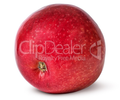 Red ripe apple bottom view