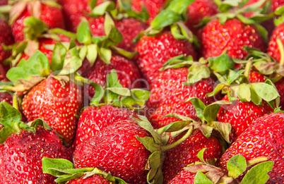 Red strawberries with green tails