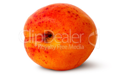 Ripe juicy apricots rotated