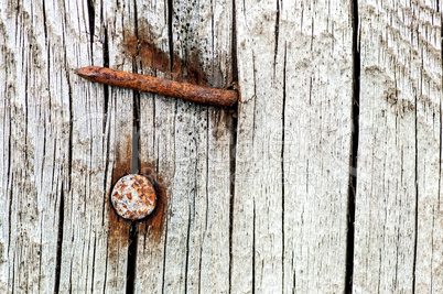 Rusty nails in an old cracked wood