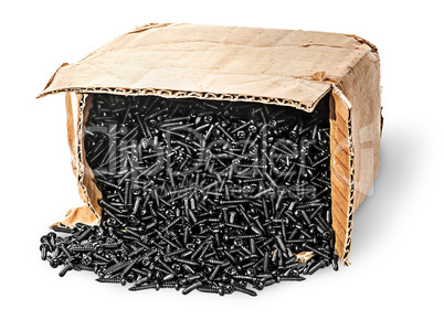Screws fall out of old cardboard box