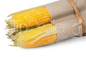 Several corn cob in paper bag tied with rope