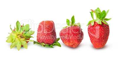 Several strawberries in a row