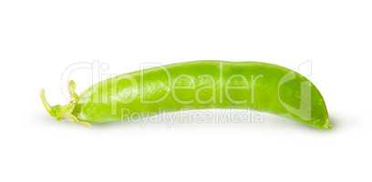 Single fresh green peas sugar in the pod