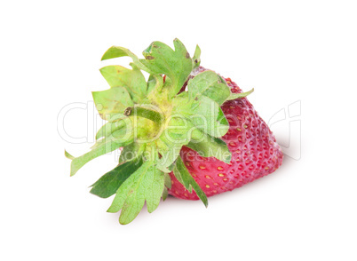 Single freshly strawberries backwards