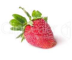 Single freshly strawberries