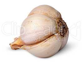 Single garlic bulb lying on the side
