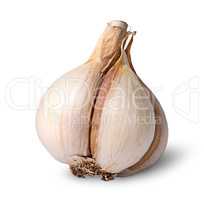 Single garlic bulb