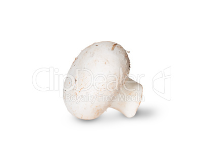 Single Mushroom Champignon On Its Side