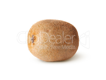 Single Of Juicy Kiwi Fruit