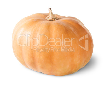 Single Orange Pumpkin