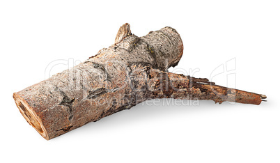 Single poplar log horizontally flipped