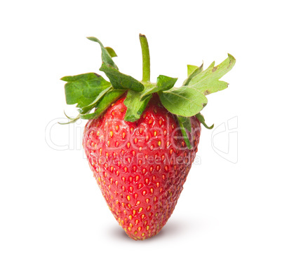 Single ripe juicy strawberry