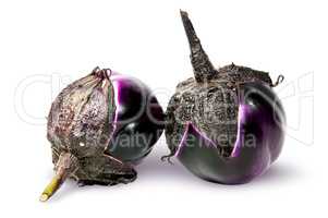 Supine and standing round ripe eggplants
