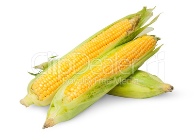 Three corn cob lying cross