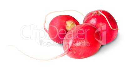 Three Fresh Radishes