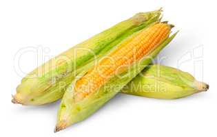 Three cross lying corn cob
