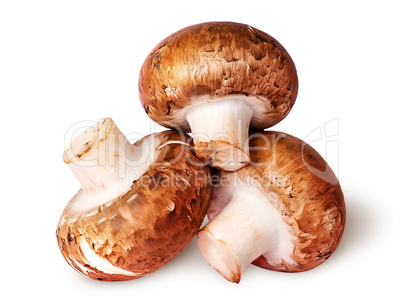 Three whole fresh brown champignons