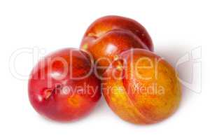 Three yellow and red plum near