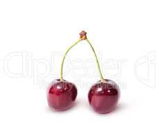 Two burgundy sweet cherries