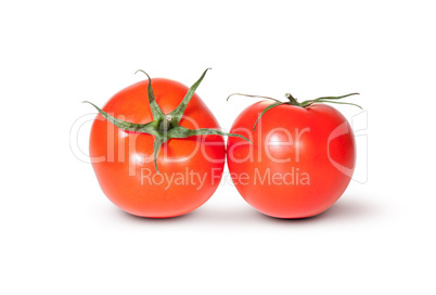 Two Fresh Red Juicy Tomato