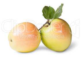 Two Juicy Apple With Green Leaf