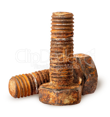 Two old rusty bolts
