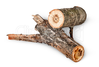 Two poplar logs rotated