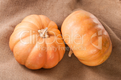 Two Pumpkins On Sackcloth